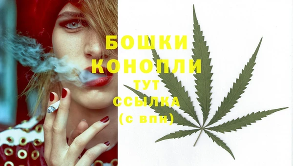 apvp Гусиноозёрск