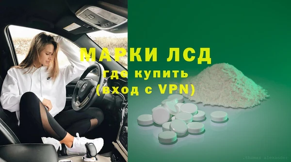 apvp Гусев