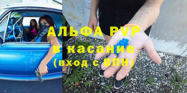 apvp Гусев