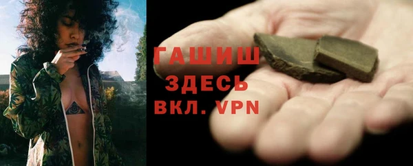 apvp Гусев