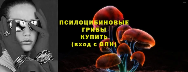 apvp Гусев