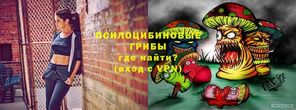 apvp Гусиноозёрск