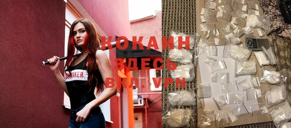 apvp Гусев