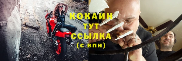 apvp Гусев
