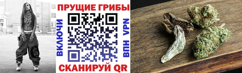 Галлюциногенные грибы прущие грибы  Орёл 